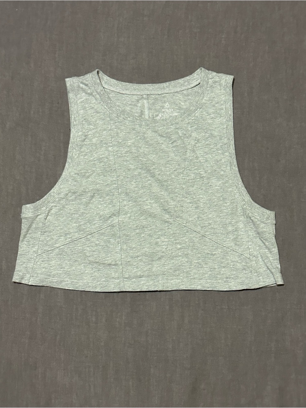 aerie Light Gray Cropped Tank